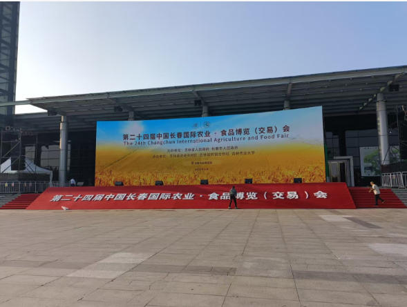 沈阳婚庆 LED 大屏租赁｜婚礼现场直播大屏 浪漫场景营造